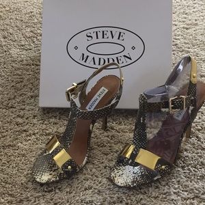 Grey, cream snake print with Gold Accents